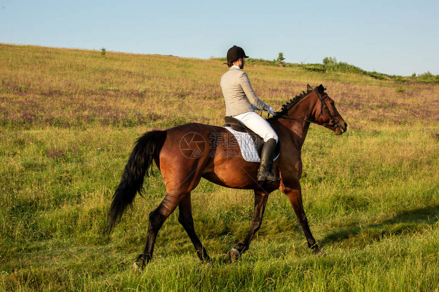 年轻女子骑手与她的马在傍晚的夕阳光生活方式氛围中的户外摄影马术骑马赛马图片