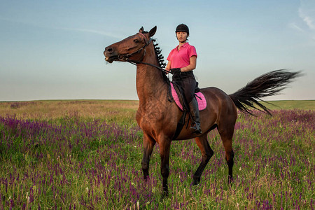 穿着制服的女骑士师在户外骑马日落骑马图片