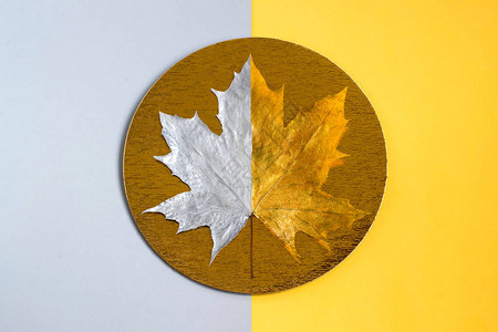 金箔圈上的金银枫叶秋天的临近极简风格多彩的两图片
