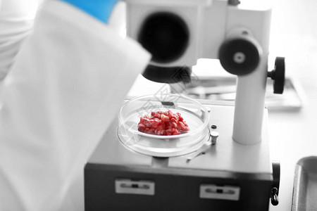 利用显微镜在实验室检查肉类图片