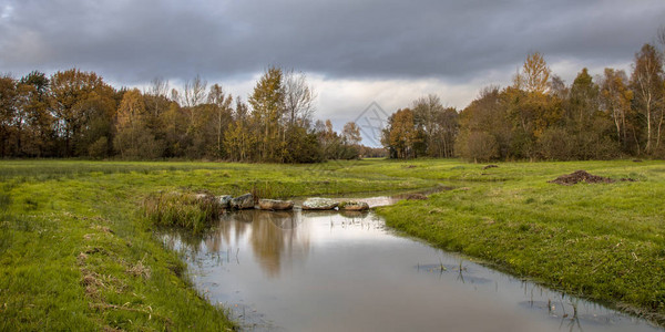 荷兰德伦特小河谷蜿蜒小溪景观图片