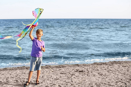 小男孩在海边放风筝图片