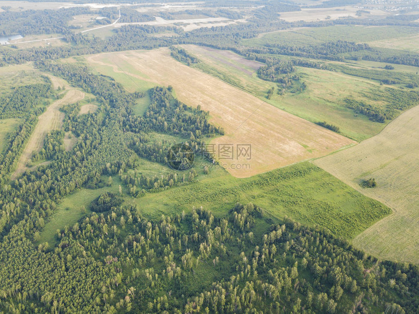 无人驾驶直升机中弹空中拍摄绿色森林图片