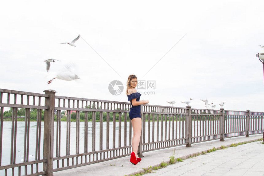女孩在安加拉河的堤岸上喂海鸥图片