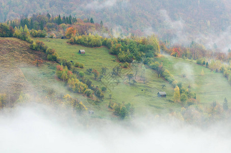 山坡上有房屋和树木的秋天风景山图片