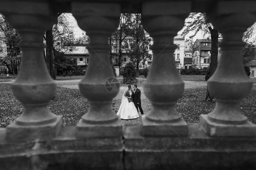 秋天在欧洲公园古老城堡散步的华丽新娘和时尚新郎的专栏中看到不同寻常的景象幸福的结婚情侣拥抱图片