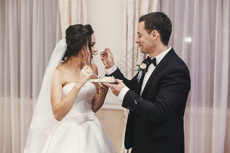 华丽的新娘和时尚的新郎在餐厅的婚宴上品尝他们时尚的婚礼蛋糕图片