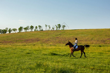 年轻女子在绿色的田野上骑马骑马图片