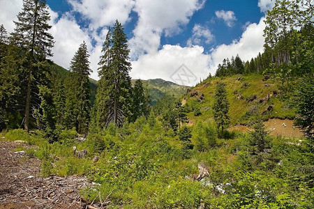 斯洛伐克西塔特拉山脉齐亚尔斯卡山谷的典型自然风光美图片