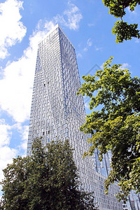 摩天大楼树和蓝天图片