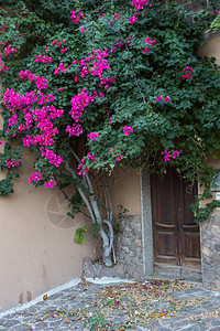 意大利鲜花盛开的美丽街道图片