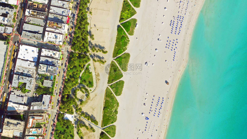 空中鸟对热带清水迈阿密海滩图片