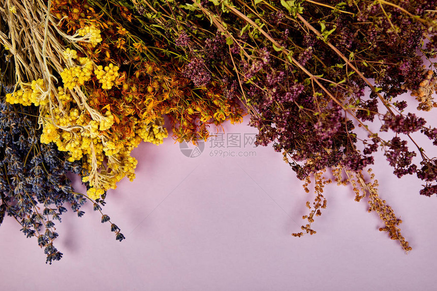 从干草本花的框架背景图片