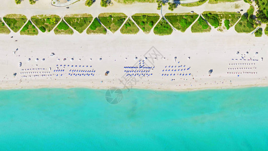 空中鸟对热带清水迈阿密海滩高清图片