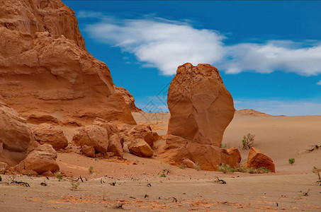 南西南蒙古戈壁沙漠中心的绿洲Harme图片