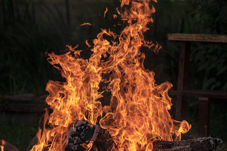 森林在壁炉中燃烧温暖热黑暗中着火图片