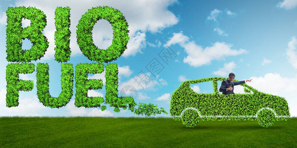 生物燃料和生态保护的概念图片