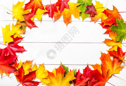 秋天落叶的秋季框架构成白色背景和复制空间组图片