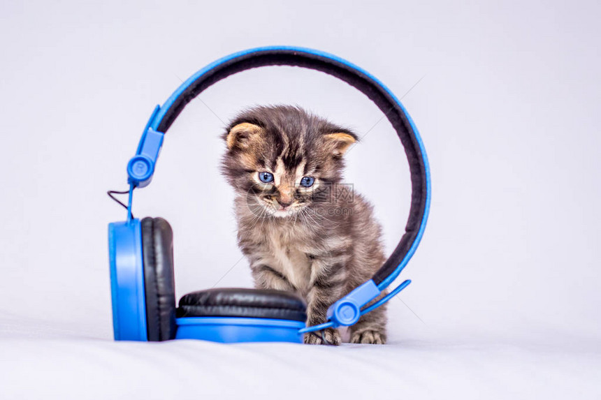 一小只条纹的小猫咪坐在耳机旁听你图片