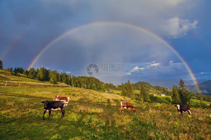 彩虹在农村Rainbow图片