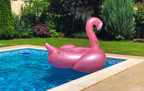 夏天派对的泳池里粉红色图片