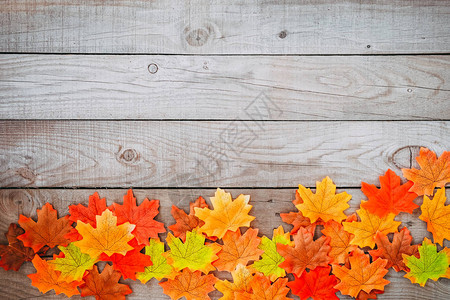 秋叶图画在旧木制背景上加上复制空图片