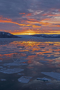 格陵兰西海岸EqipSermia冰川附近一个平静的北冰洋图片
