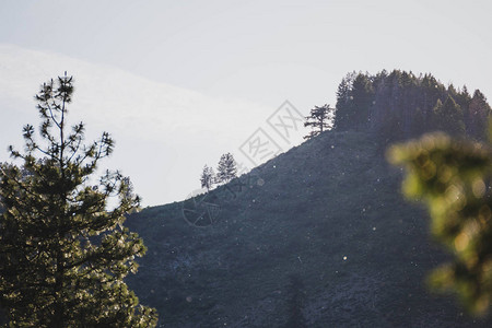 蓬松的棉花种子球漂浮在陡峭的山脉背景下图片