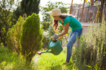 年轻女子在她的花园里她正在给植物浇水图片
