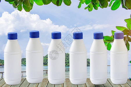 在树海山上用瓶装水制成塑料高清图片