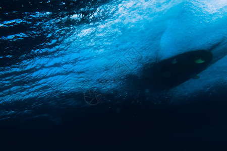热带海洋中的水下桶波和冲浪板图片