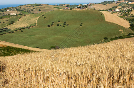 意大利Abruzzo滚动山丘图片