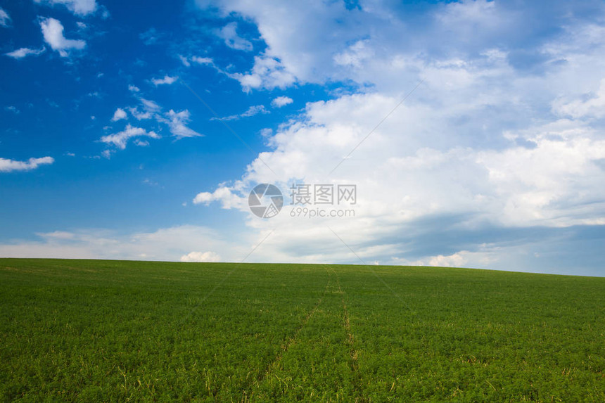 日落时空草原上的捷克波希米亚高地图片