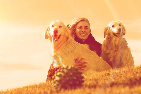 在公园里玩耍的女人和狗伴侣宠物概念宠物和狗训练和教育狗图片