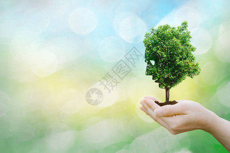 人类手握大植物脸树的生态概念人图片