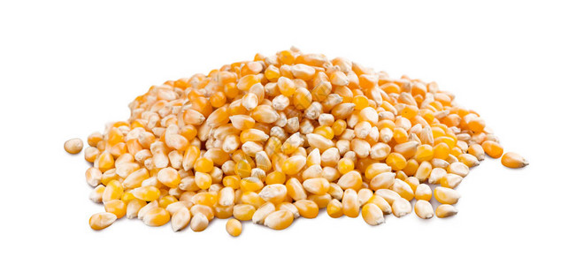 黄干玉米的堆积因爆米花而孤立图片