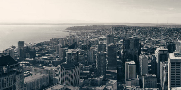 西雅图与城市建图片