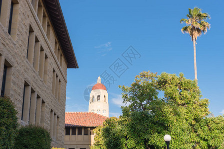 加州帕洛阿尔托斯坦福大学胡高清图片