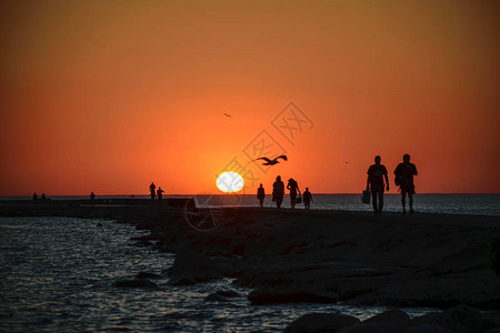 温暖的夏夜图片