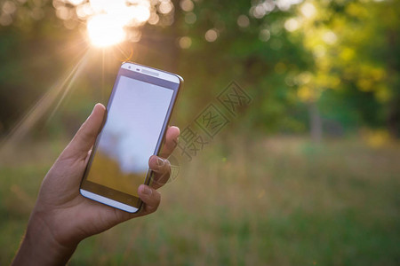 手持黑色智能手机手机手机在绿色森林背景图片