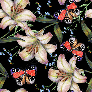 带花的无缝蝴蝶黑色背景的花朵插图片