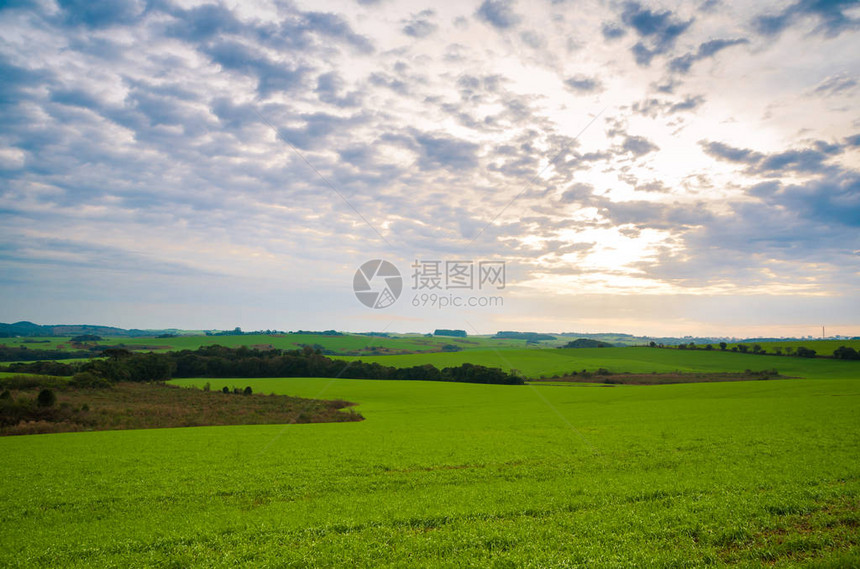 绿地和多云天空的美丽风景图片