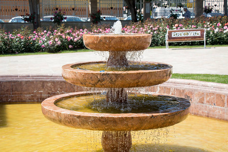 玫瑰园喷泉出的水图片
