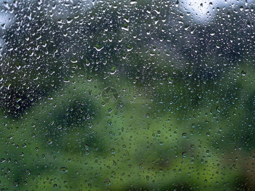 水滴雨滴在玻璃窗上有树图片