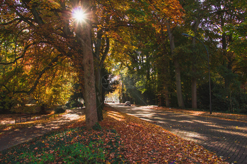 在奥斯特胡公园的路上风景秋天的风图片