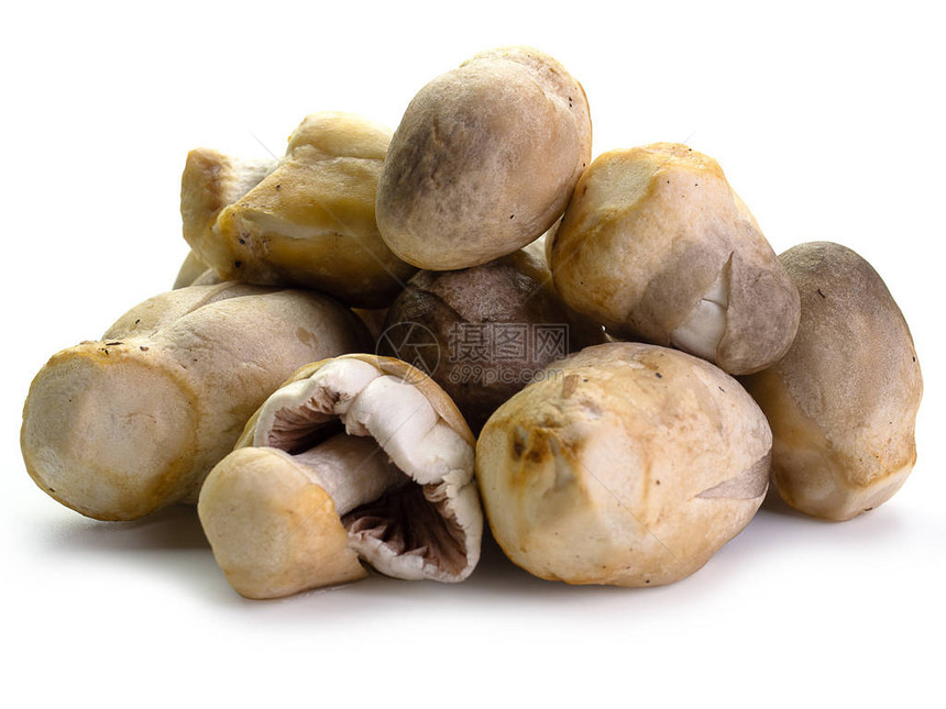 在白色背景上分离的草菇健康食品图片