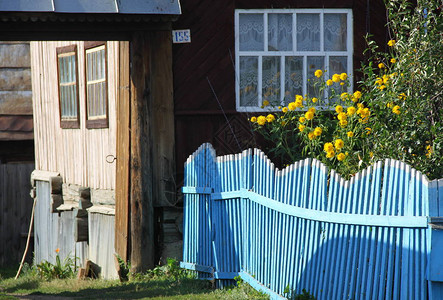 有蓝色花园的房子图片