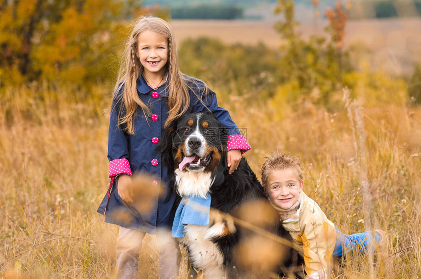 和他兄弟的姐同他的四脚狗朋友一起在秋图片