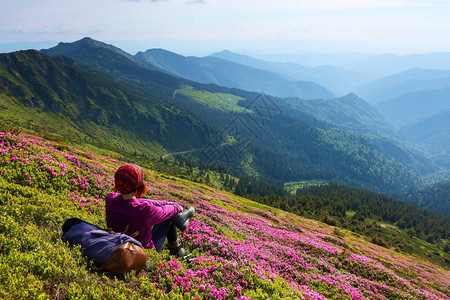 与高山的风景有云的天空林道女孩背着麻袋坐在杜鹃花的草坪上生态旅游图片