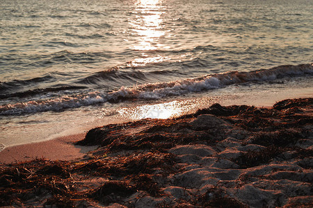 夏季海上日落时的海浪图片